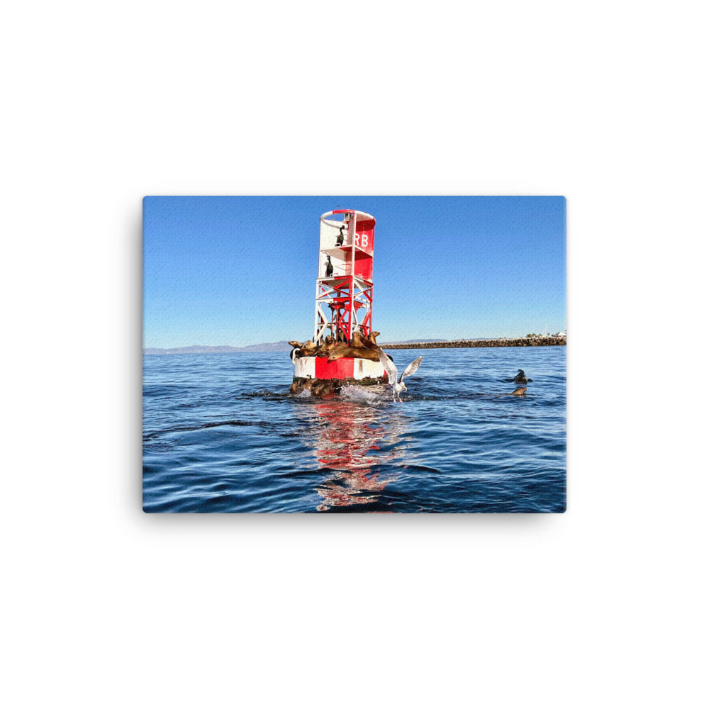 Buoy Activity - Canvas Print