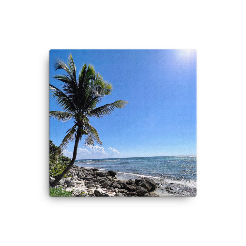 Tropical Shoreline - Canvas prints