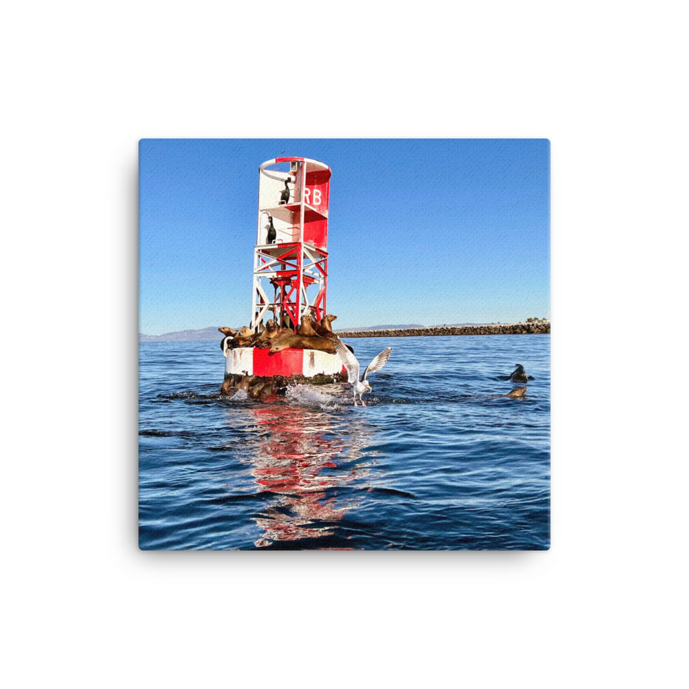 Buoy Activity - Canvas Print