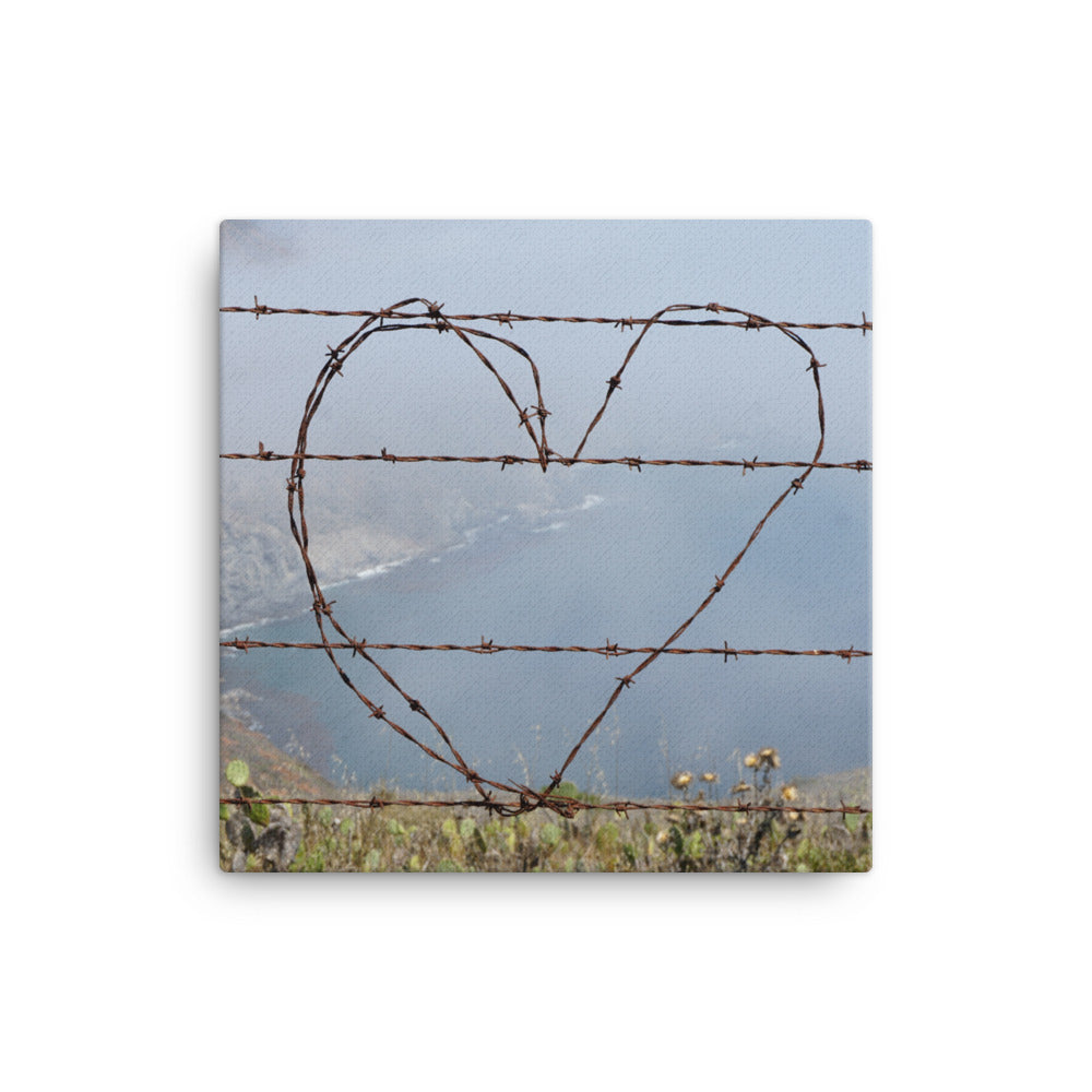 Barbed Wire Heart, Catalina Island - Canvas print