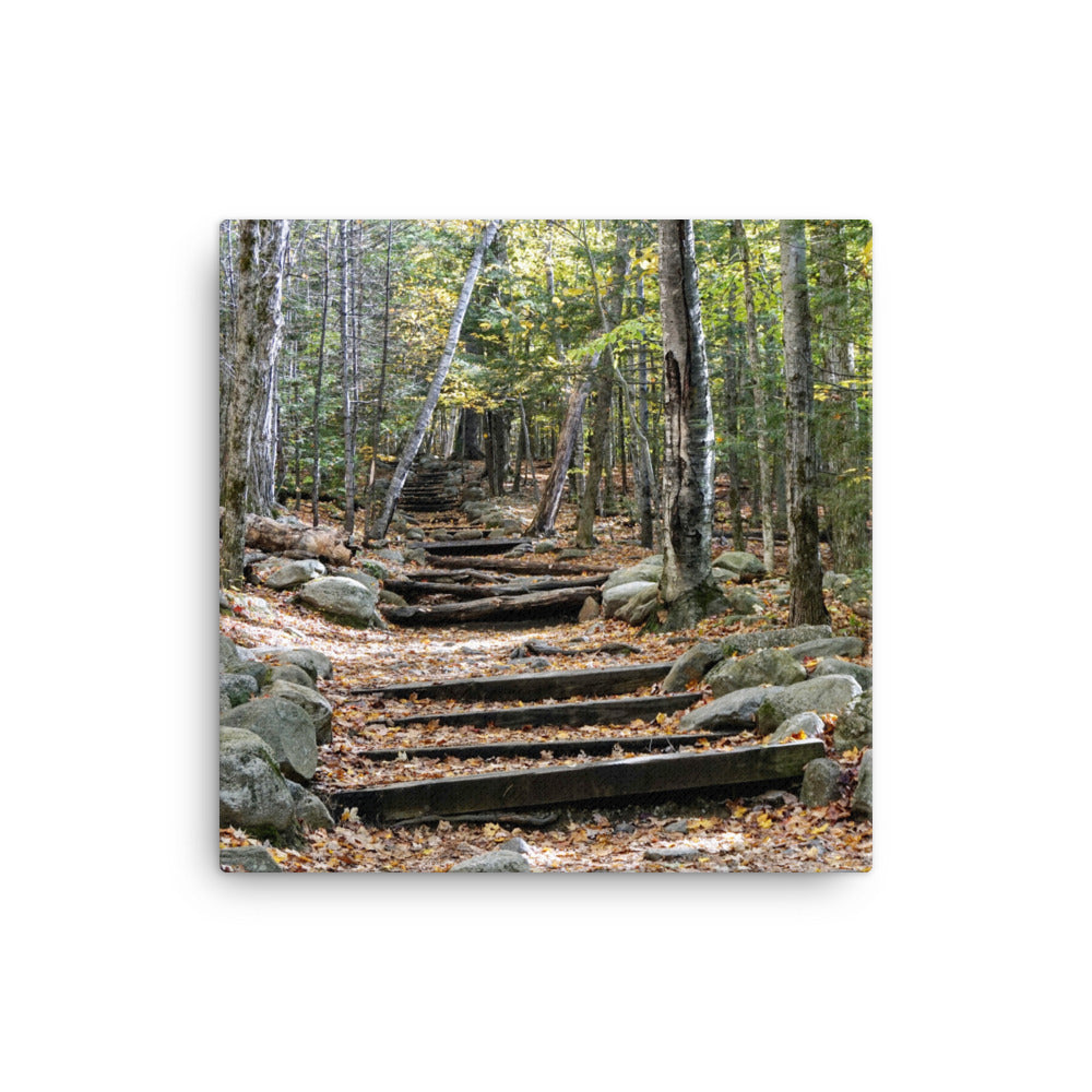 Fall Mountain Stairs - Canvas print