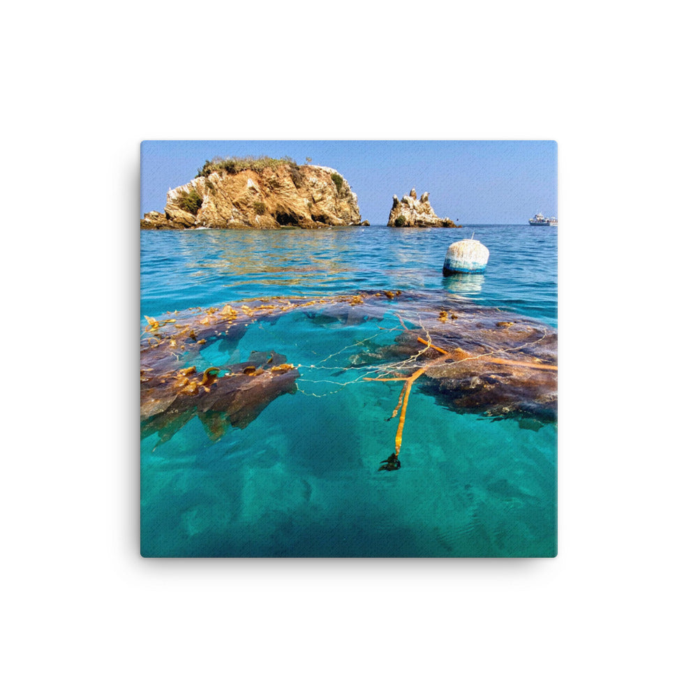 Emerald Waters - Canvas print