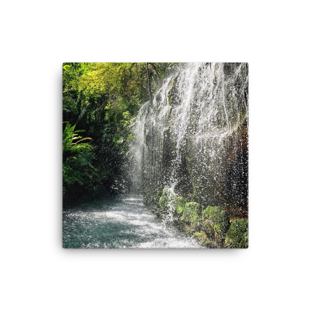 Tropical Waterfall - Canvas print