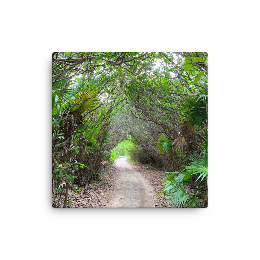 The Path - Canvas print