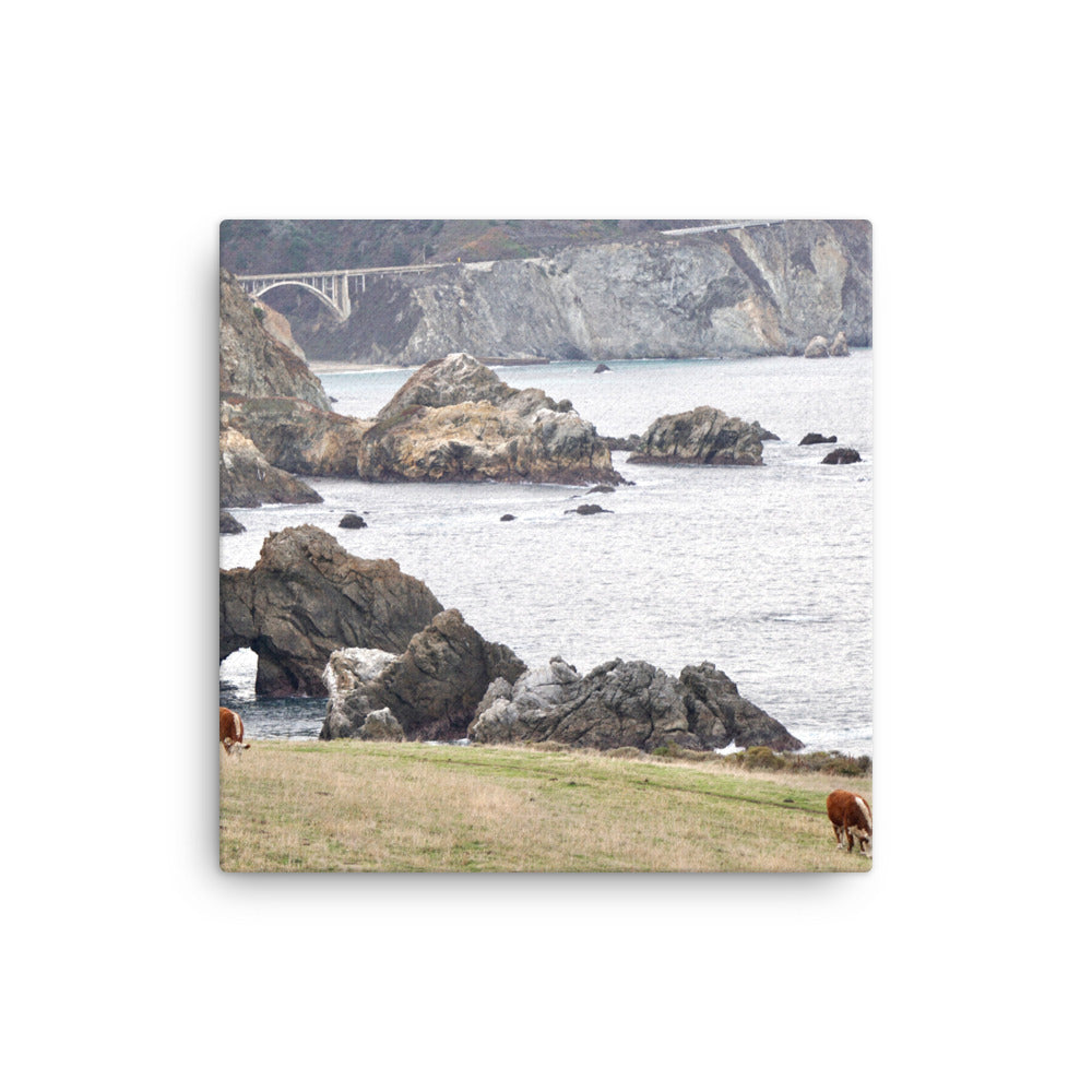 Grazing, Big Sur, CA - Canvas print