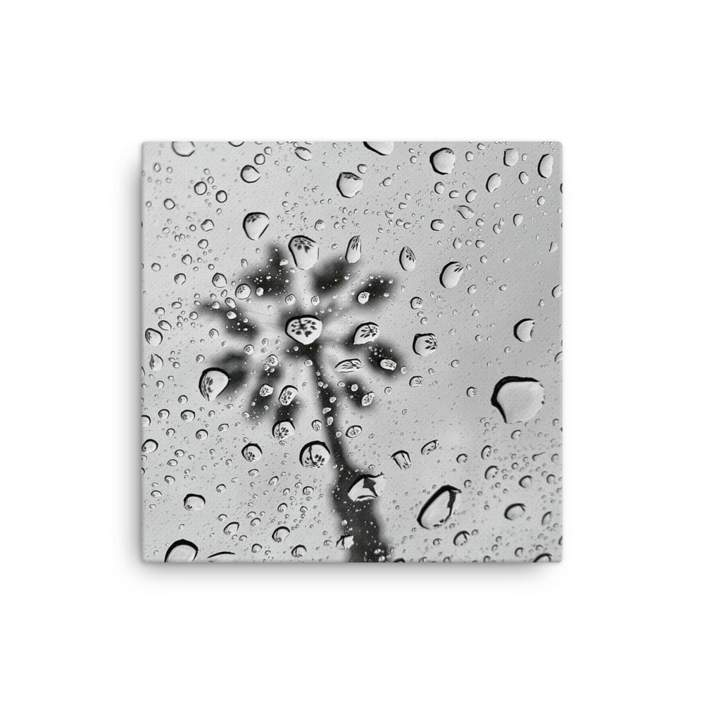 Rain Reflections - Canvas