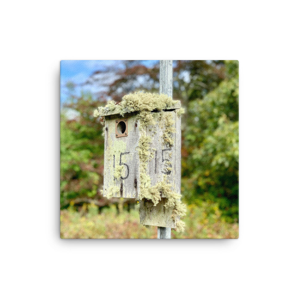 Bird House, Cape Cod - Canvas print