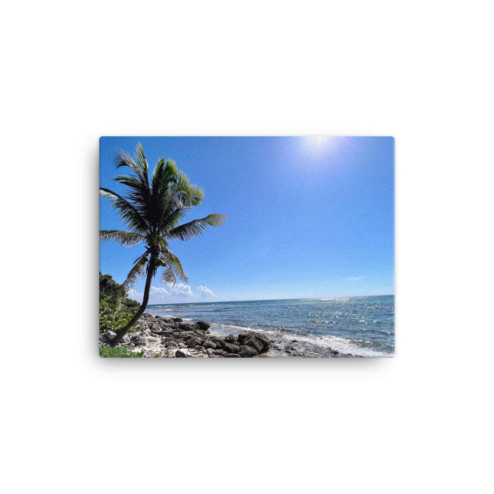 Tropical Shoreline - Canvas prints