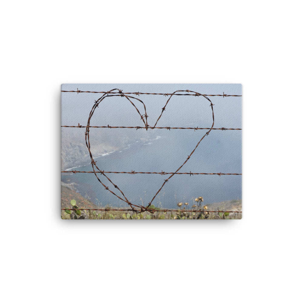 Barbed Wire Heart, Catalina Island - Canvas print