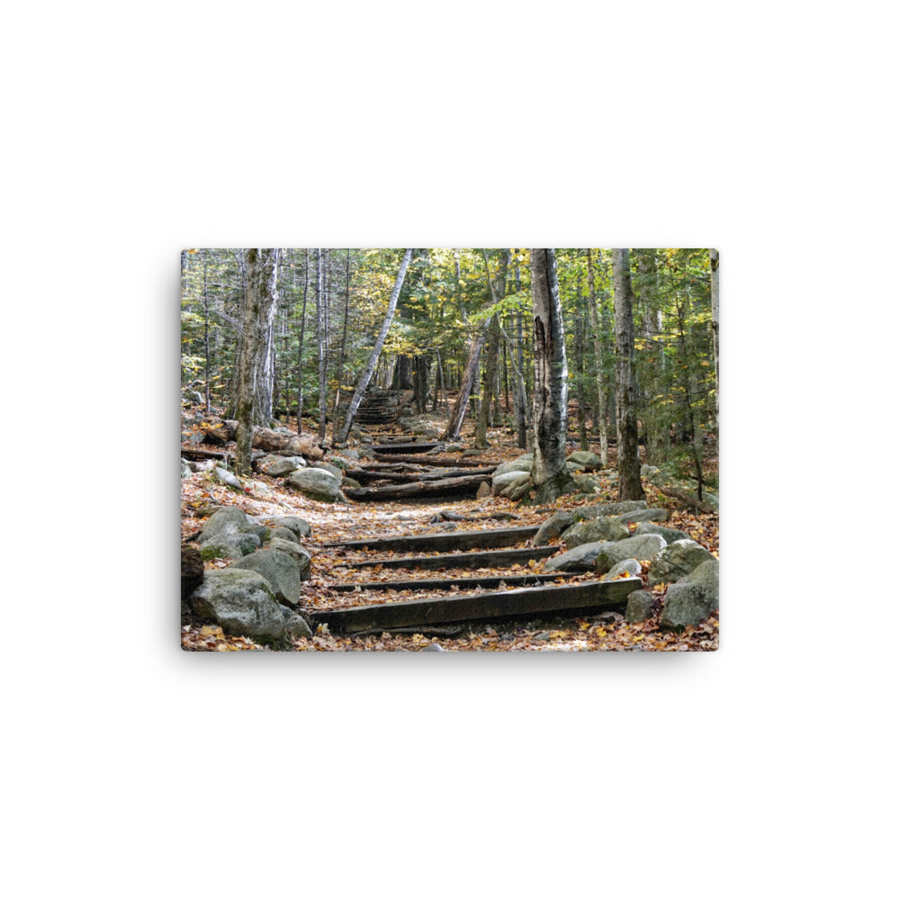 Fall Mountain Stairs - Canvas print