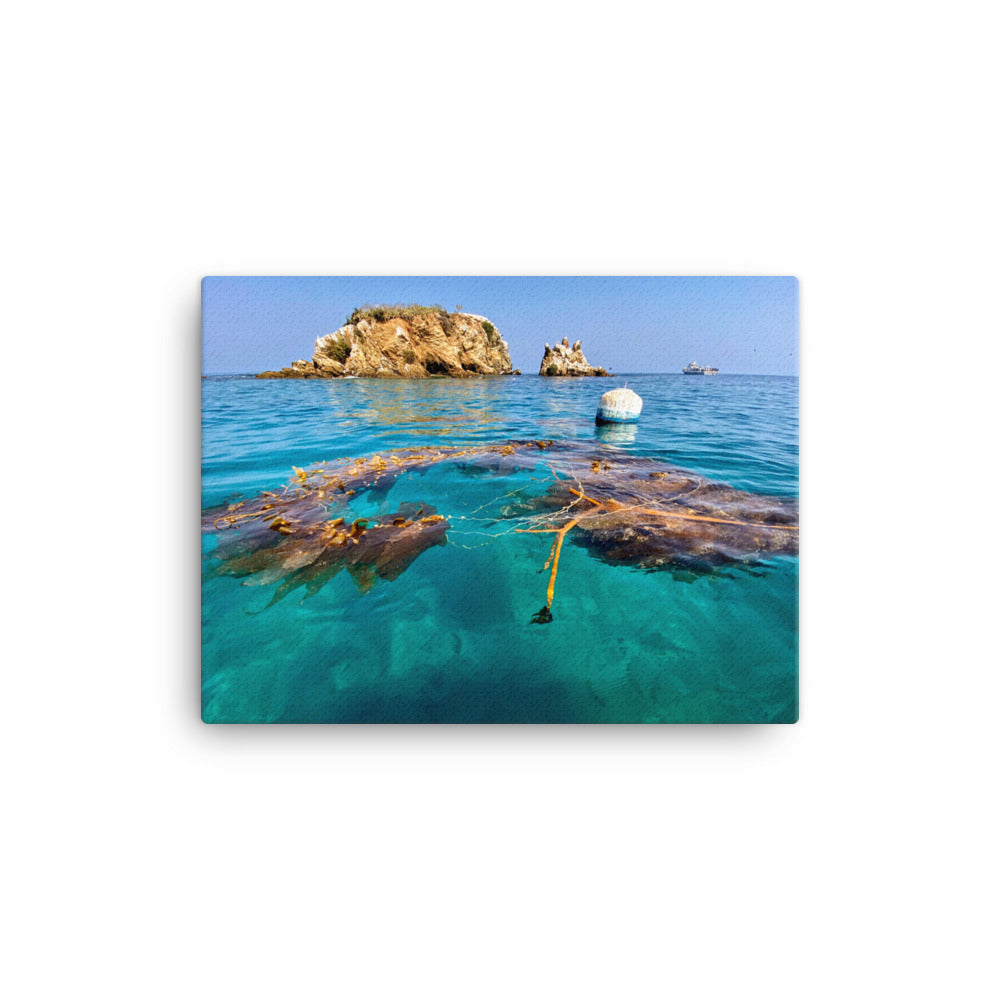 Emerald Waters - Canvas print