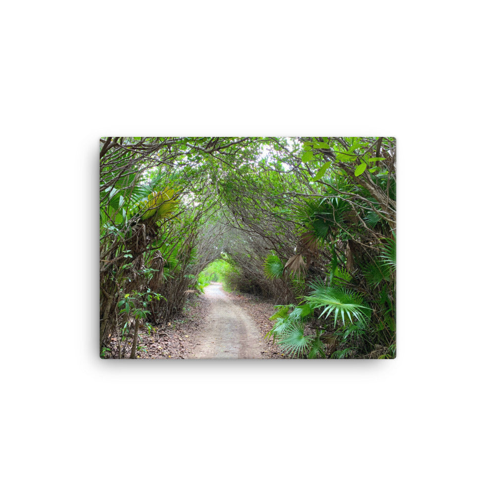 The Path - Canvas print