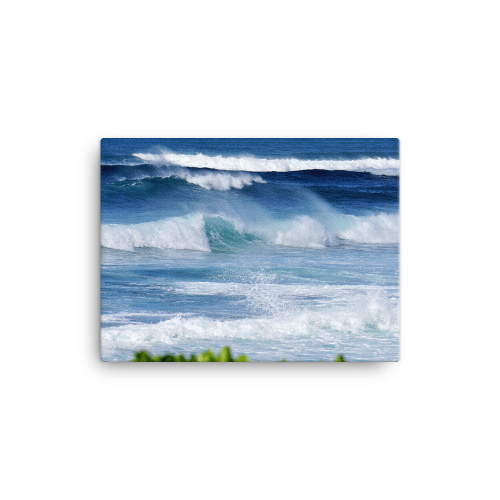 Hawaii Waves - Canvas print