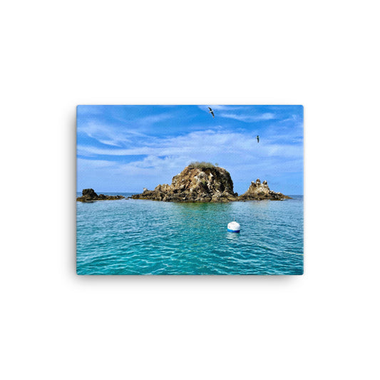 Emerald Bay View - Canvas print