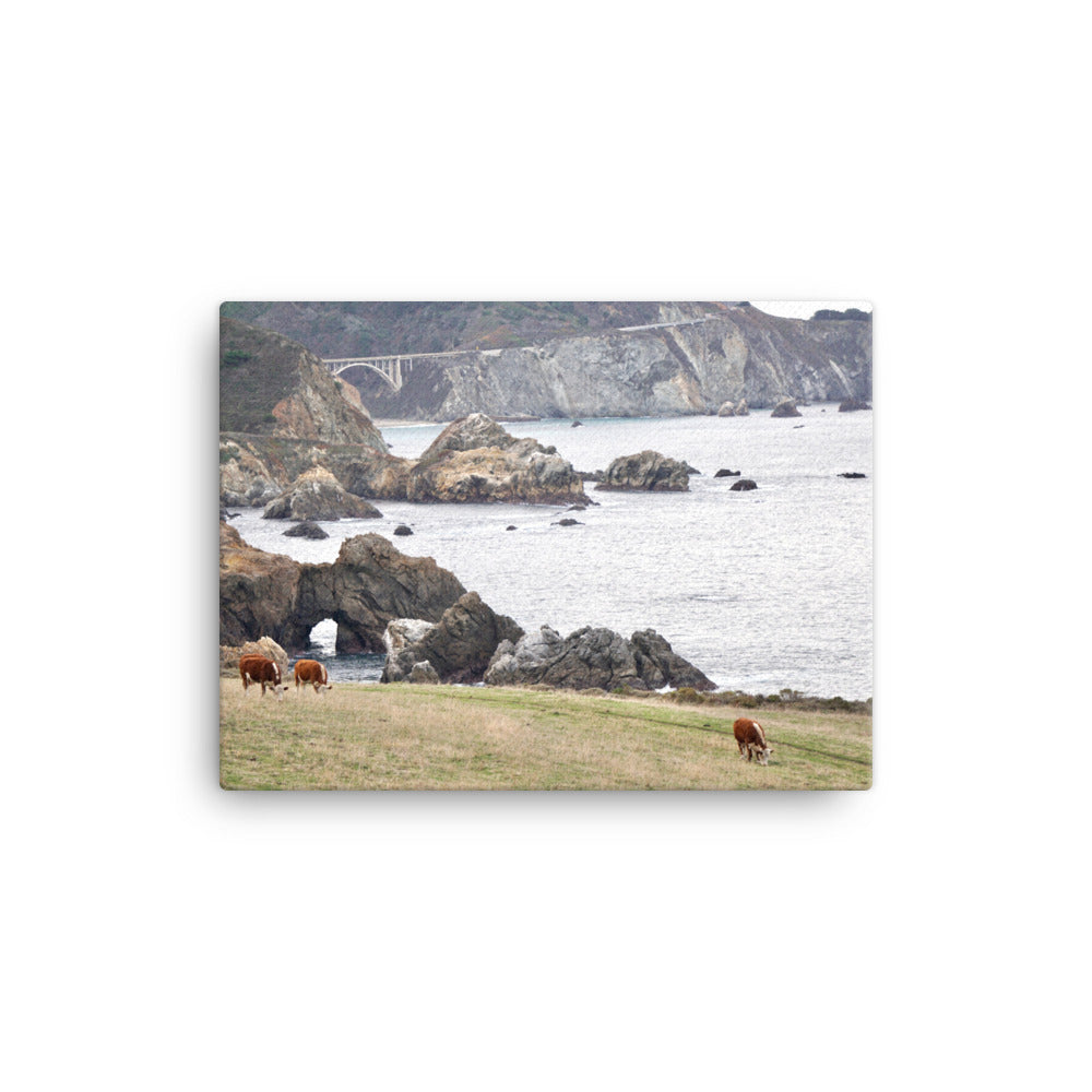 Grazing, Big Sur, CA - Canvas print