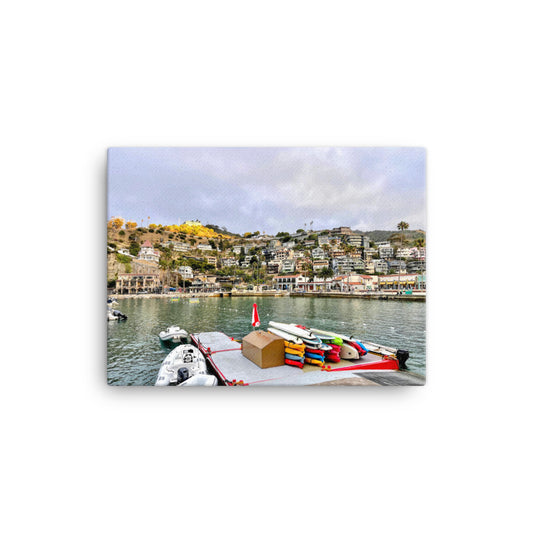 Avalon Bay - Canvas print