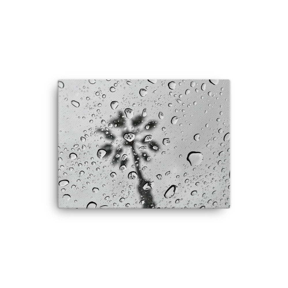 Rain Reflections - Canvas