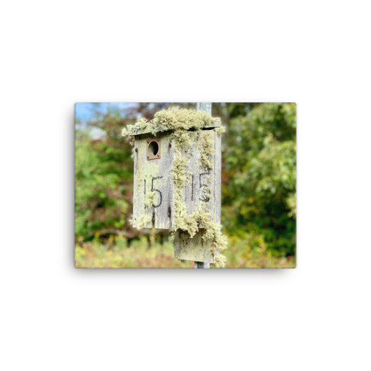 Bird House, Cape Cod - Canvas print