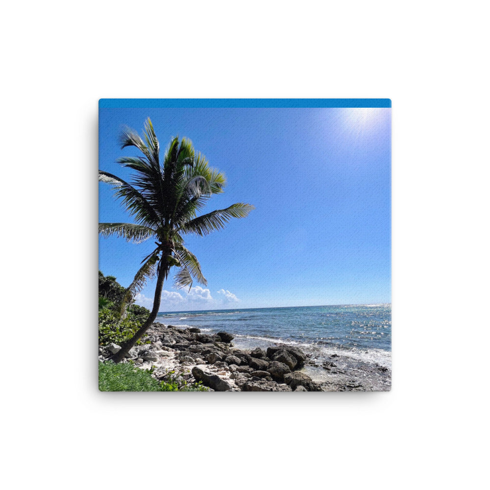 Tropical Shoreline - Canvas prints