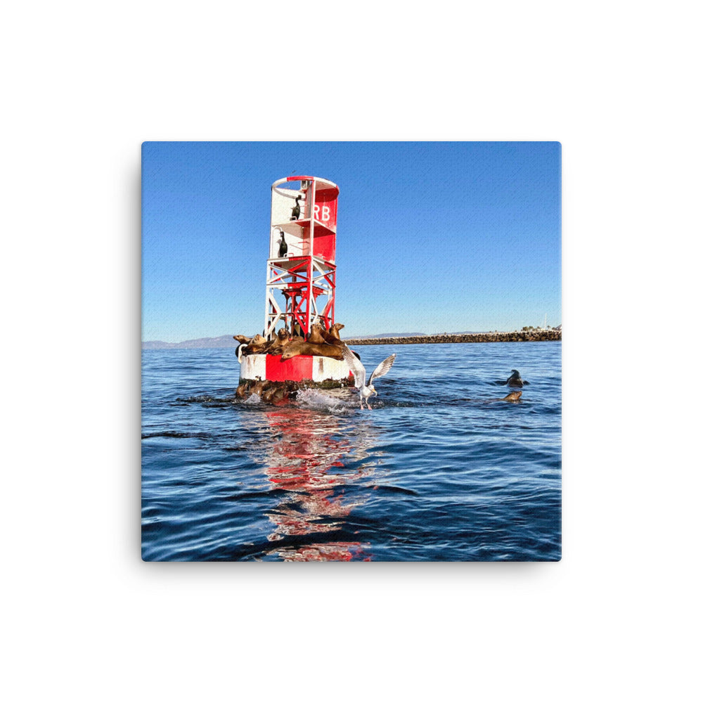 Buoy Activity - Canvas Print