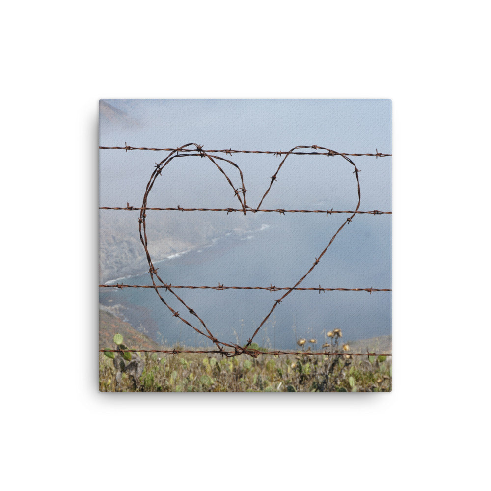 Barbed Wire Heart, Catalina Island - Canvas print