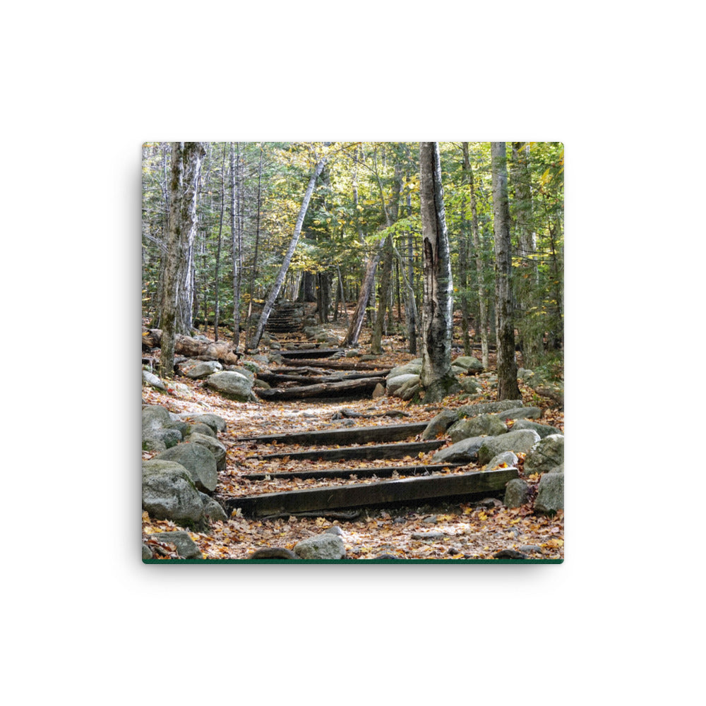 Fall Mountain Stairs - Canvas print