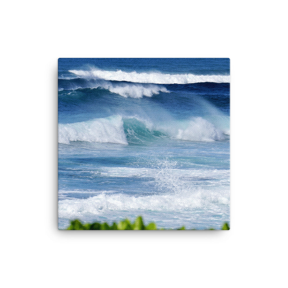 Hawaii Waves - Canvas print