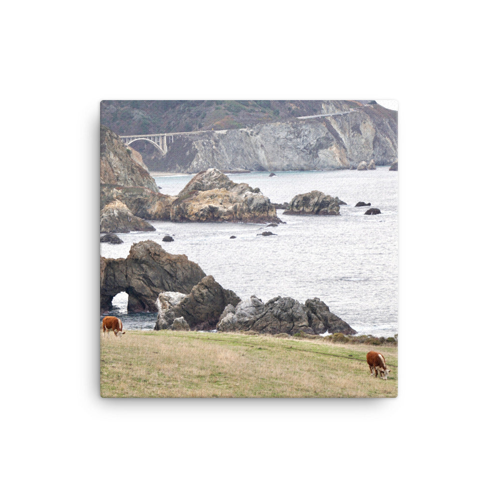 Grazing, Big Sur, CA - Canvas print