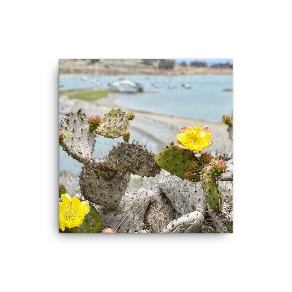 Cactus Bloom - Canvas print