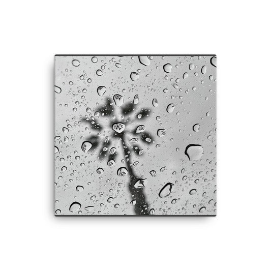 Rain Reflections - Canvas