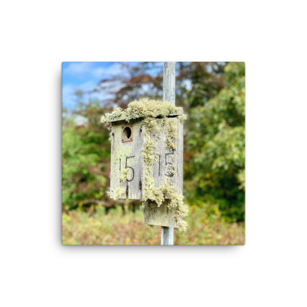 Bird House, Cape Cod - Canvas print