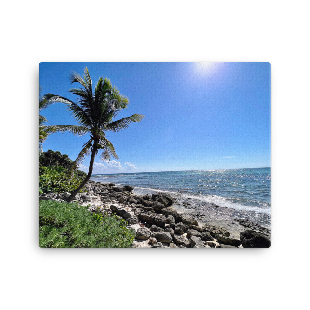 Tropical Shoreline - Canvas prints