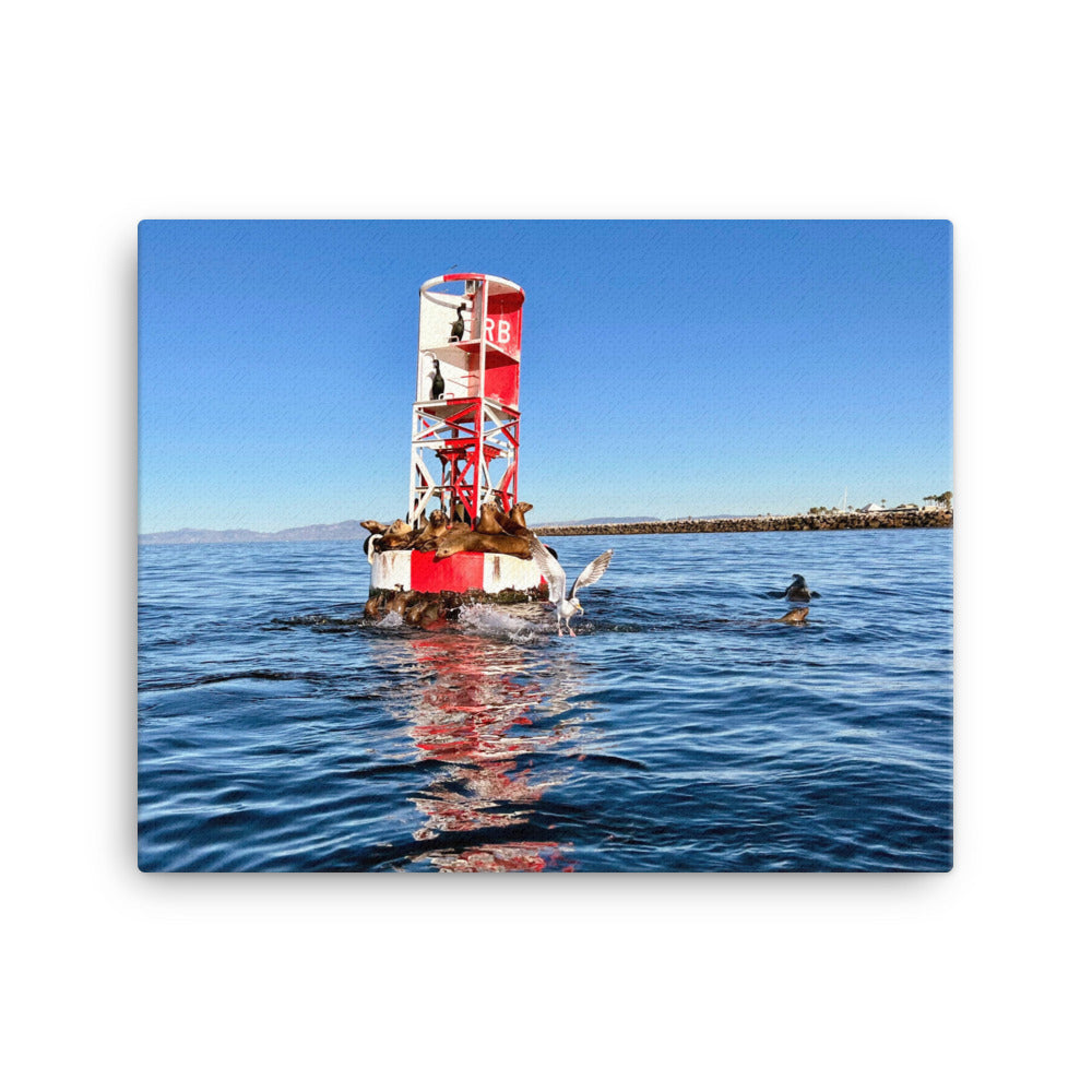 Buoy Activity - Canvas Print