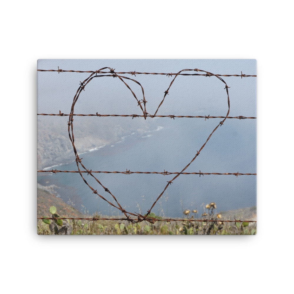 Barbed Wire Heart, Catalina Island - Canvas print