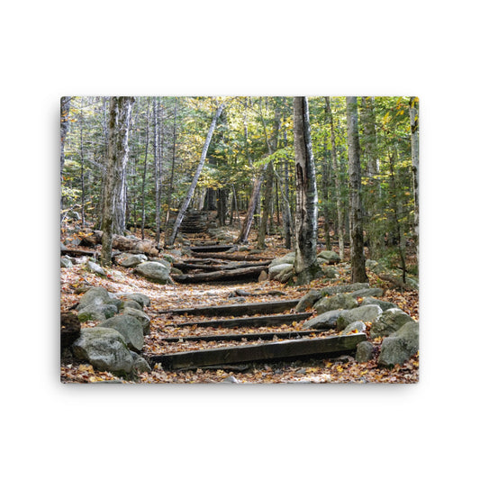 Fall Mountain Stairs - Canvas print