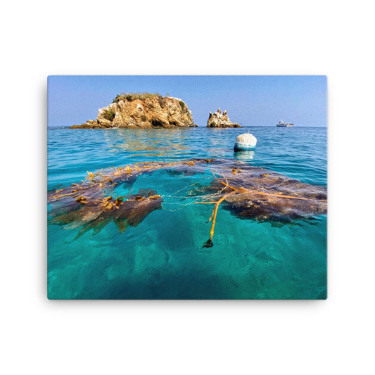 Emerald Waters - Canvas print