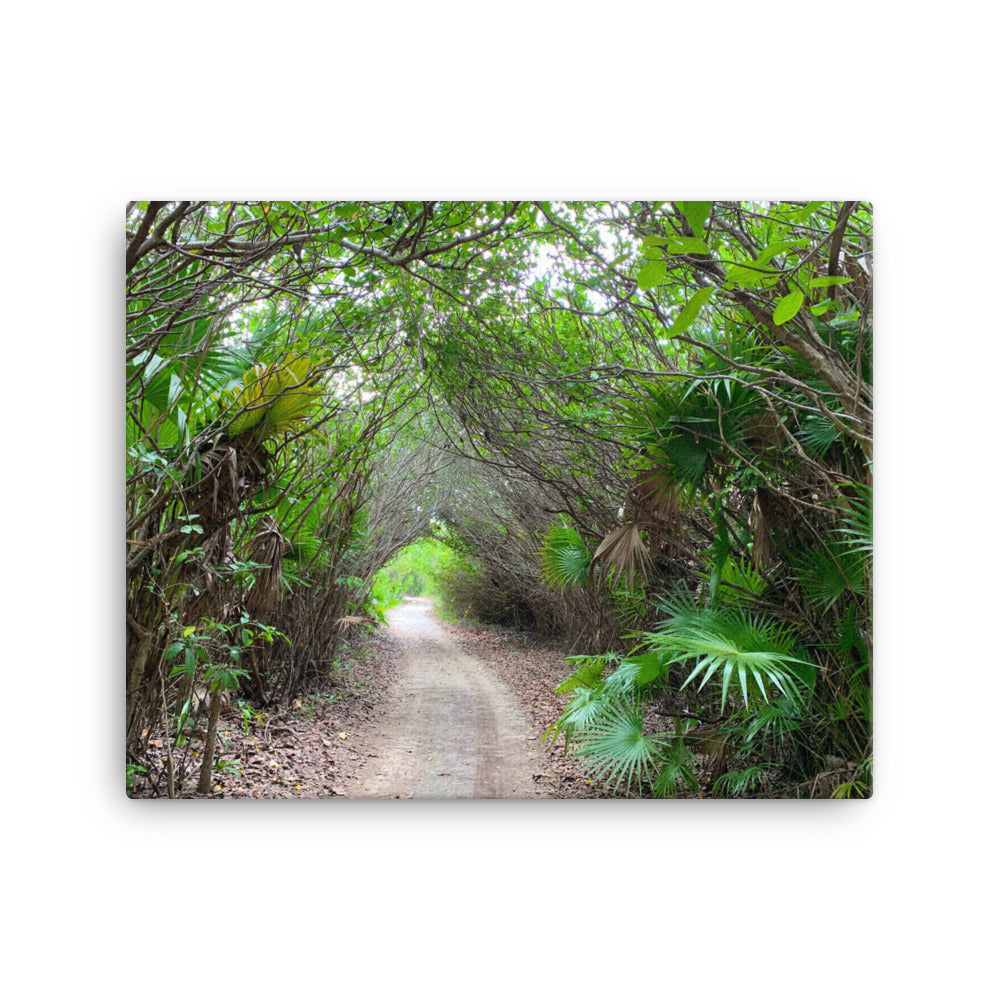 The Path - Canvas print