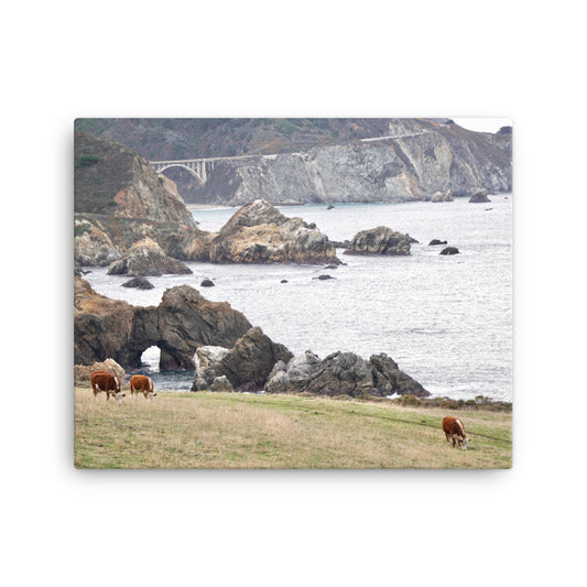 Grazing, Big Sur, CA - Canvas print