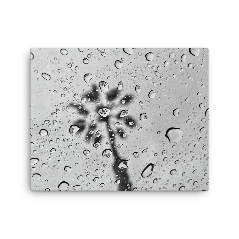 Rain Reflections - Canvas