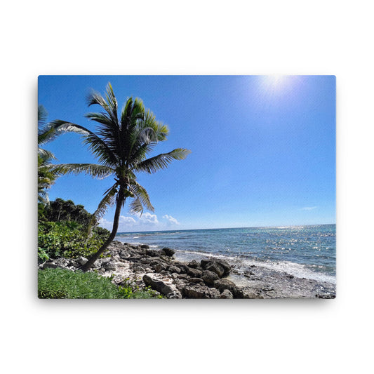 Tropical Shoreline - Canvas prints