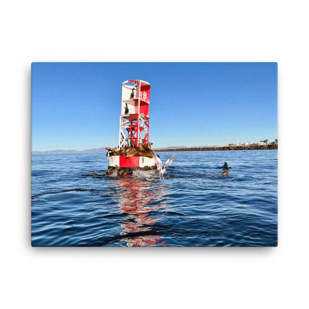 Buoy Activity - Canvas Print