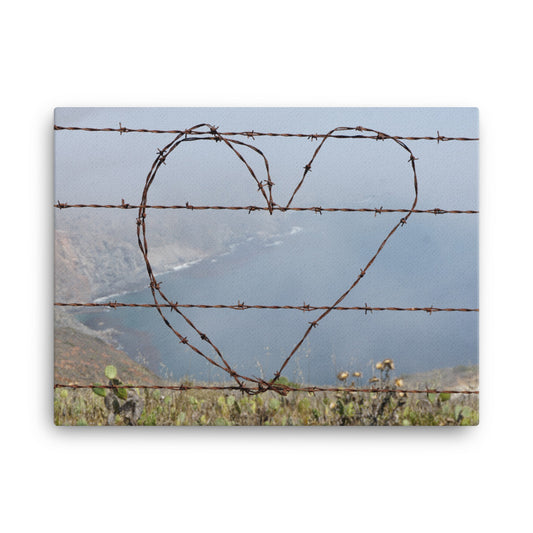 Barbed Wire Heart, Catalina Island - Canvas print