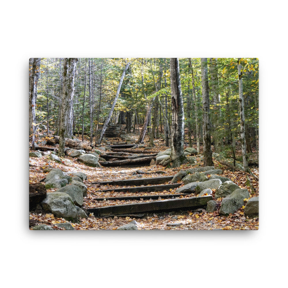 Fall Mountain Stairs - Canvas print