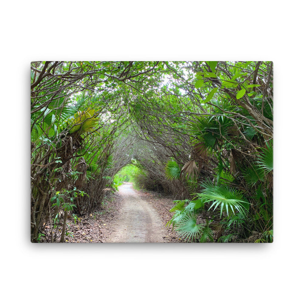 The Path - Canvas print