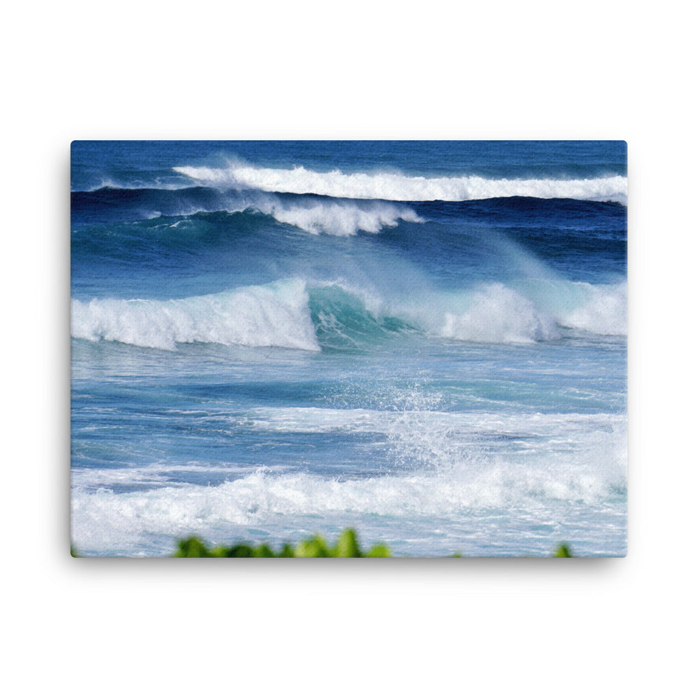 Hawaii Waves - Canvas print