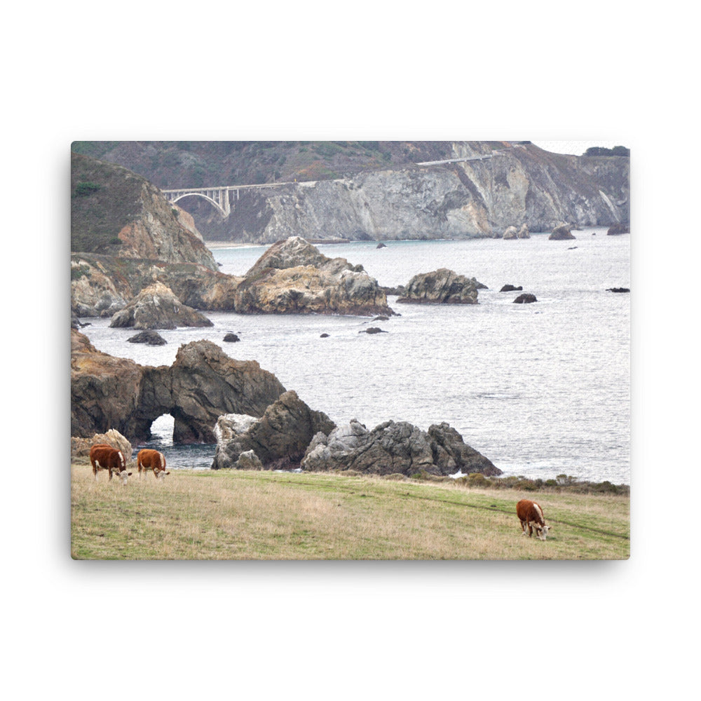 Grazing, Big Sur, CA - Canvas print