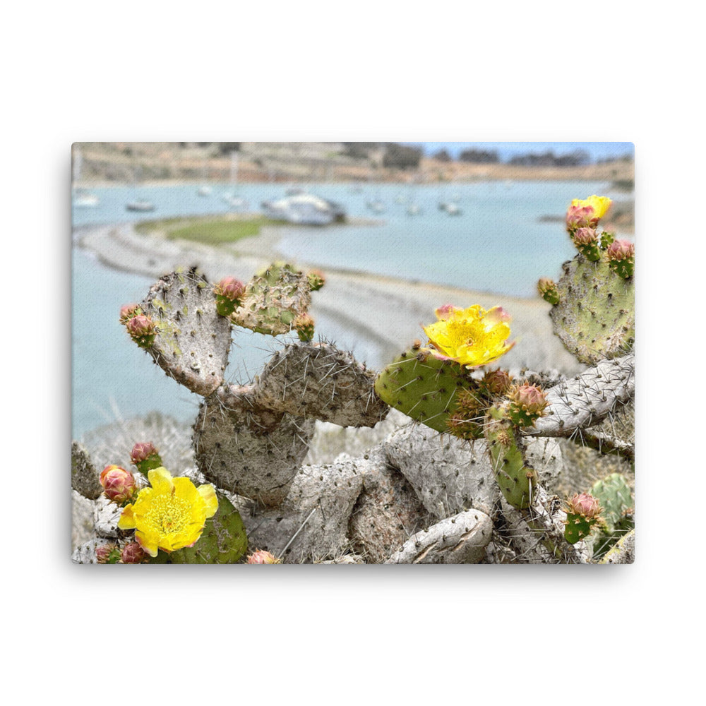 Cactus Bloom - Canvas print