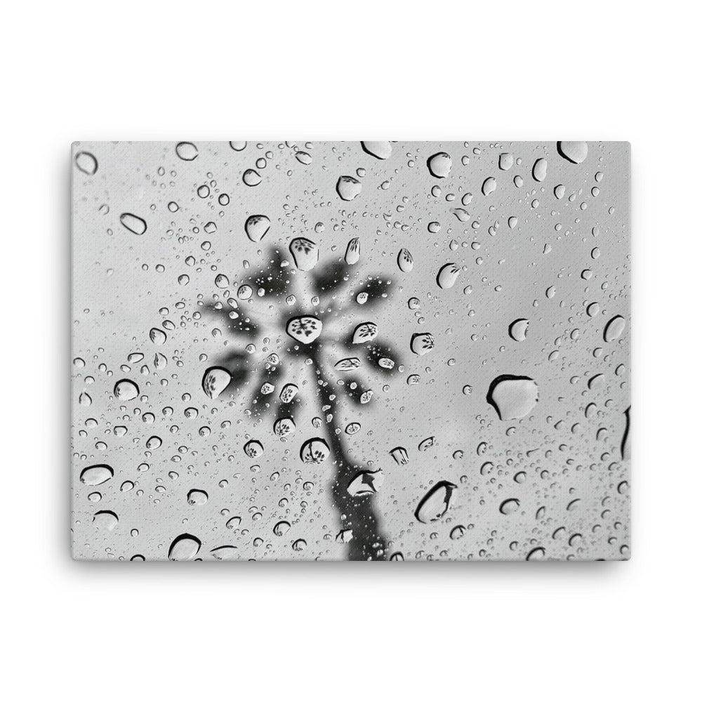 Rain Reflections - Canvas