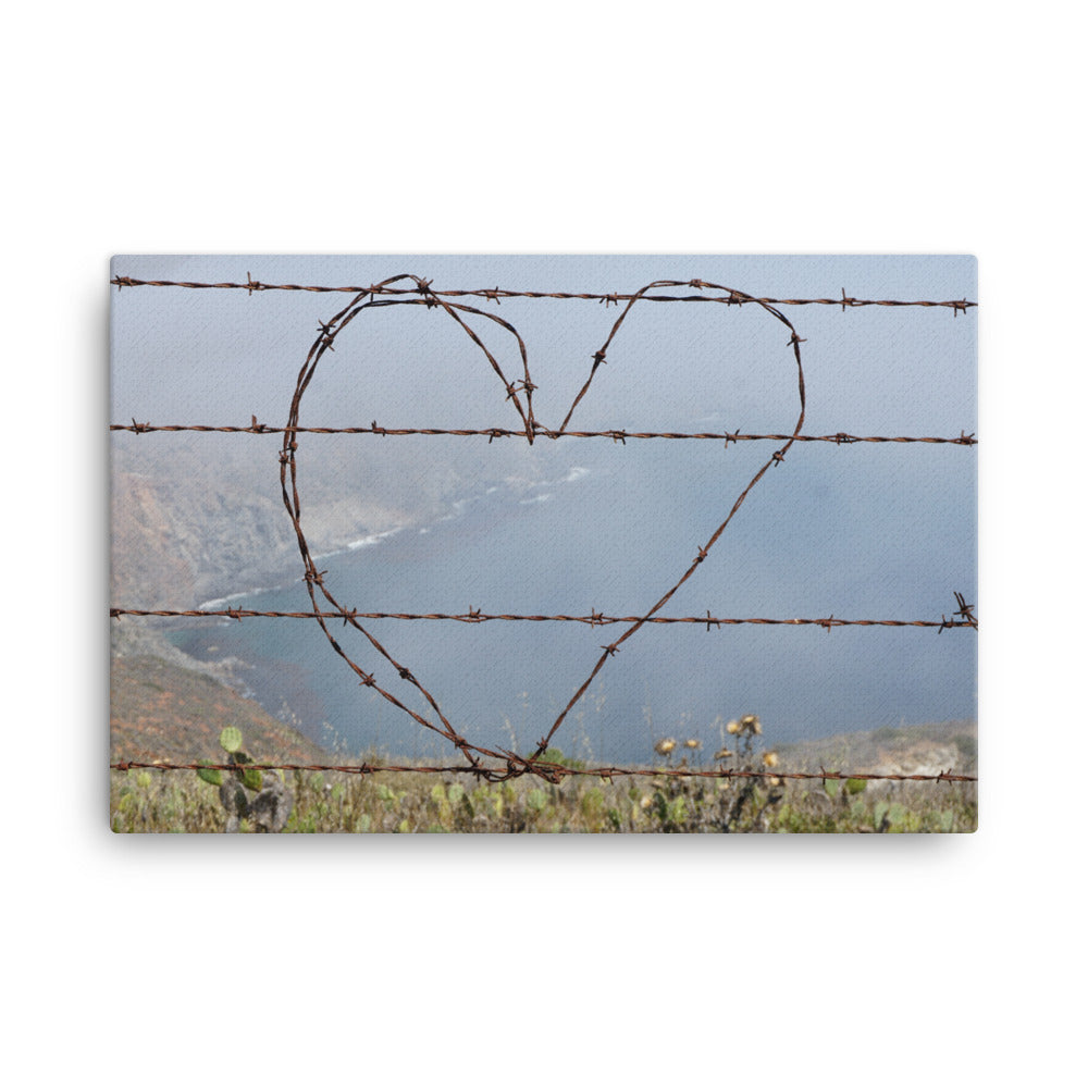 Barbed Wire Heart, Catalina Island - Canvas print