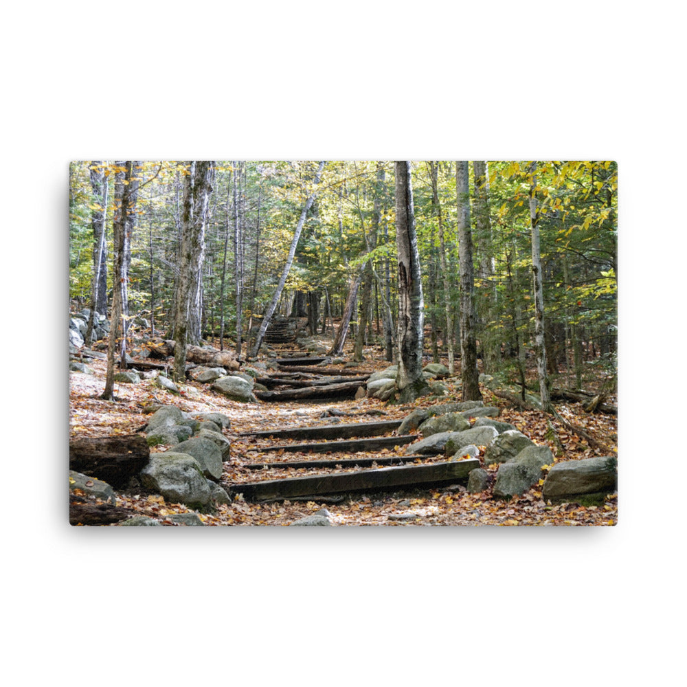 Fall Mountain Stairs - Canvas print